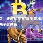 马斯克：美国短年期国债是无须用脑考虑的投资选择