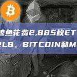 数据：某鲸鱼花费2,885枚ETH购买UNIBOT、RLB、BITCOIN和MEVFree
