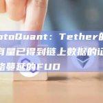 CryptoQuant：Tether的比特币持有量已得到链上数据的证明，可忽略蔓延的FUD