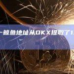 数据：一鲸鱼地址从OKX提取了13,301 ETH