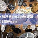 Stellar加入Bytecode联盟，帮助开发EVM替代品Wasm