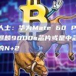 业内人士：华为Mate 60 Pro采用的麒麟9000s芯片或是中芯国际研制的N+2
