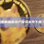拉脱维亚的加密资产投资去年下降了50%