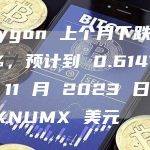 Polygon 上个月下跌-19.33%，预计到 0.614776 年 11 月 2023 日将跌至 XNUMX 美元