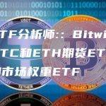 彭博ETF分析师:：Bitwise申请了BTC和ETH期货ETF的等权重和市场权重ETF