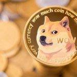 哪里可以买DOGE/狗狗币？ 买狗狗币去哪个平台
