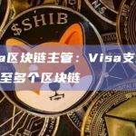 Visa区块链主管：Visa支付将扩展至多个区块链