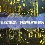 美SEC主席：对瑞波案感到失望