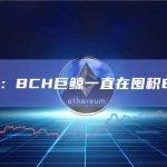 数据：BCH巨鲸一直在囤积BCH