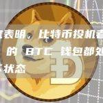 研究表明，比特币投机者 88% 的 BTC 钱包都处于水下状态