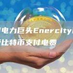 德国电力巨头Enercity已经接受比特币支付电费