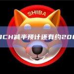 距BCH减半预计还有约200天