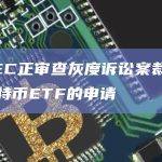 美SEC正审查灰度诉讼案裁决以及比特币ETF的申请
