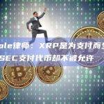 Ripple律师：XRP是为支付而生的，却因SEC支付代币却不被允许