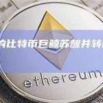 休眠11年的比特币巨鲸苏醒并转移了325枚BTC