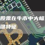 推动股票在牛市中大幅上涨的关键特征