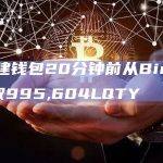 一新建钱包20分钟前从Binance提取995,604LQTY