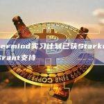 Nethermind实习计划已获Starknet基金会Grant支持