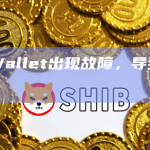 Wizz Wallet出现故障，导致用户资产被盗