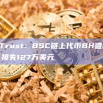MetaTrust：BSC链上代币BH遭闪电贷攻击，损失127万美元