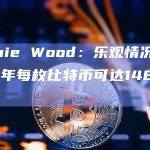 Cathie Wood：乐观情况下2030年每枚比特币可达148万美元