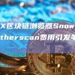 AVAX区块链浏览器Snowtrace因Etherscan费用引发争议而关闭