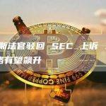 托雷斯法官驳回 SEC 上诉 XRP 价格有望飙升