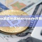 Solana生态协议Marinade开始屏蔽英国用户