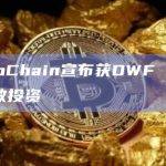 TomoChain宣布获DWF Labs七位数投资