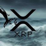 瑞波官方转移7千万枚XRP至未知钱包！巨鲸跟进抛售4亿枚？