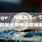 XDoge：与成为下一个十亿美元的加密货币非常相似