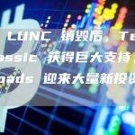 币安 LUNC 销毁后，Terra Classic 获得巨大支持，DigiToads 迎来大量新投资者涌入