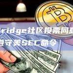 BarnBridge社区投票同意授权其创始人遵守美SEC命令