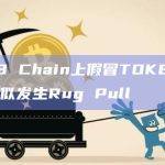 BNB Chain上假冒TOKEN代币疑似发生Rug Pull