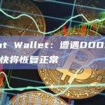 UniSat Wallet：遭遇DDOS攻击，预计很快将恢复正常