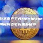 数字资产平台Membrane Labs