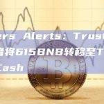 Cyvers Alerts：TrustPad攻击者将615BNB转移至Tornado Cash
