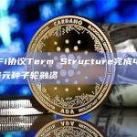 DeFi（去中心化金融）协议中的Term Structure是指在借贷和借款方面所使用的不同期限结构