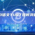 BRC-20铭文TURT日内涨幅为62%