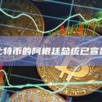 支持比特币的阿根廷总统已宣誓就职