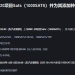 sats是一种向satoshi致敬的 BRC-20 代币
