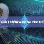 币安杠杆新增WebSocket域名