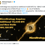 已囤积 189150 枚 BTC，MicroStrategy 的策略会暴雷吗？