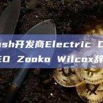 Zcash是隐私保护的区块链网络