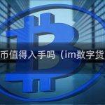 基因币和IMC币的概念