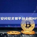 币安闪兑交易平台已上线NFP新资产