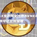 AVAX生态中首个符文协议ANC20的首个符文代币AVNE