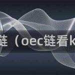 OEC链的技术特点