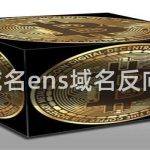 ens域名ens域名反向解析