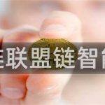 联盟链分析介绍